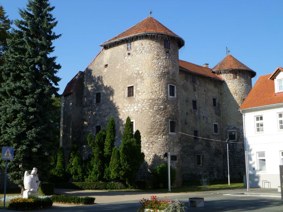 Sumski Dvori Apartment Ogulin Bagian luar foto